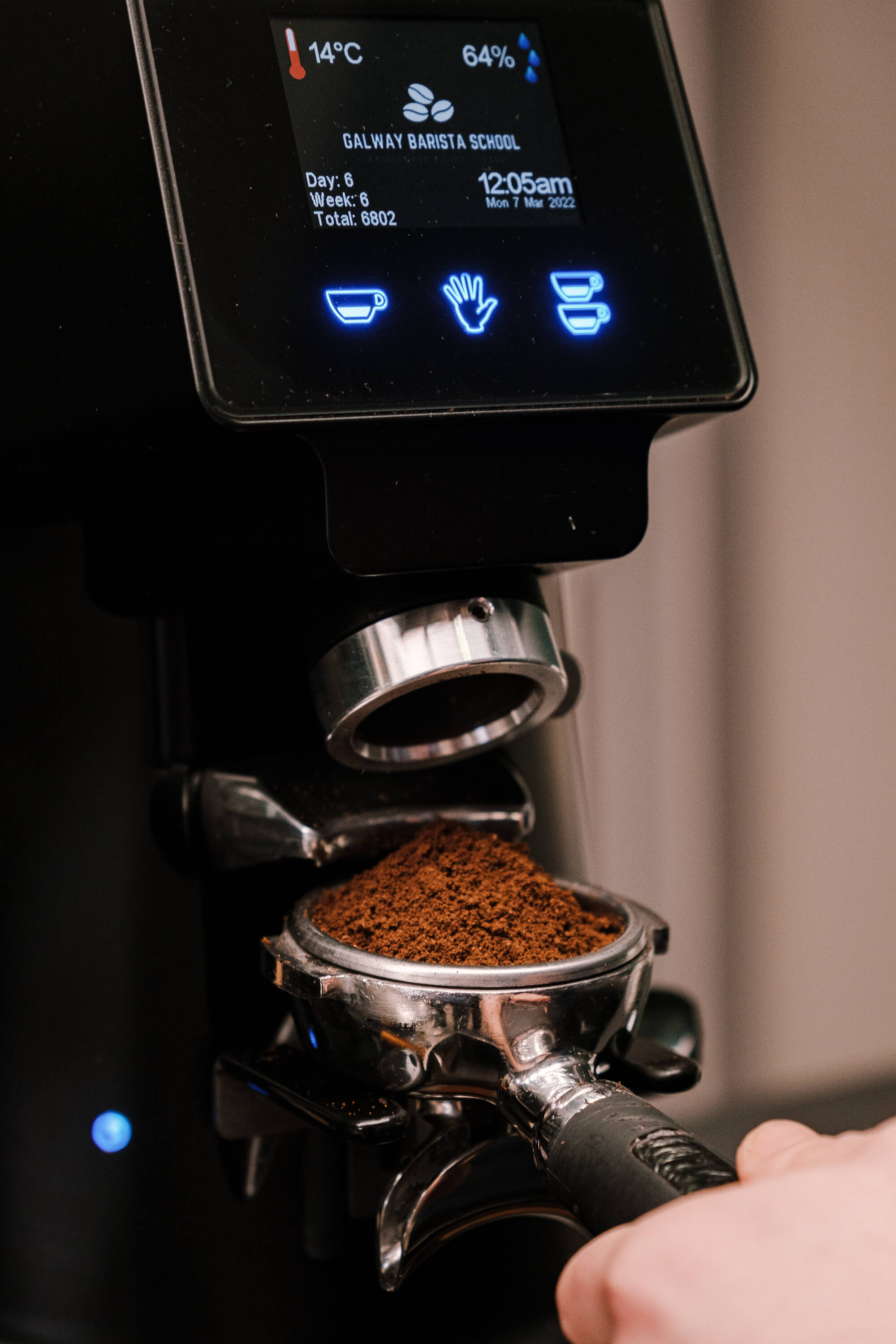 Commercial & Home Coffee Grinders