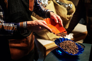 Sorting Roasted Coffee Beans