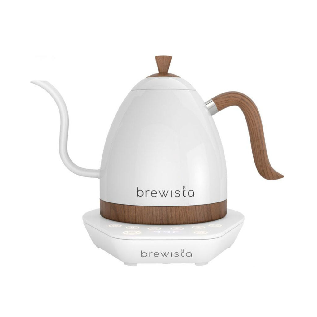 Kettle brewista 2025